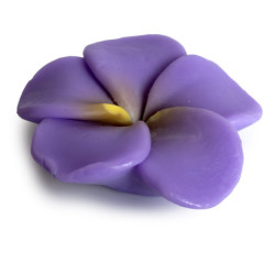 JABON SOLIDO FLOR. IRIS PÚRPURA