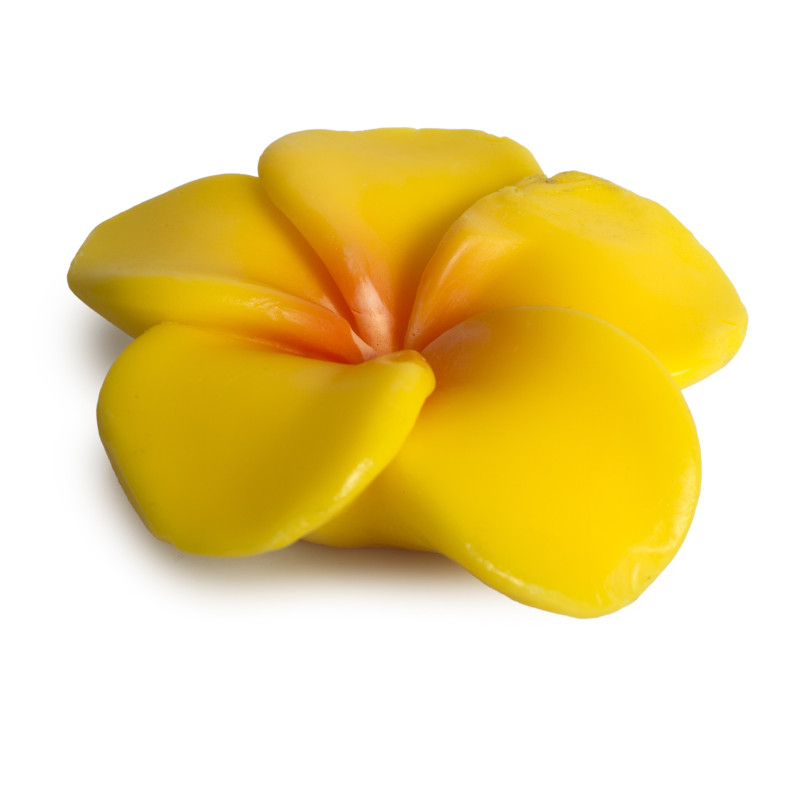 JABON SOLIDO FLOR. CANELA JABON SOLIDO FLOR. CANELA