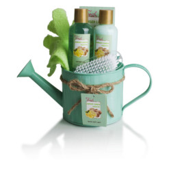 REGADERA  METÁLICO. GEL DE DUCHA 150 ML. LOCIÓN CORPORAL 150 ML. SALES DE BAÑO 100 GRAMOS. CEPILLO PLÁSTICO Y GUANTE